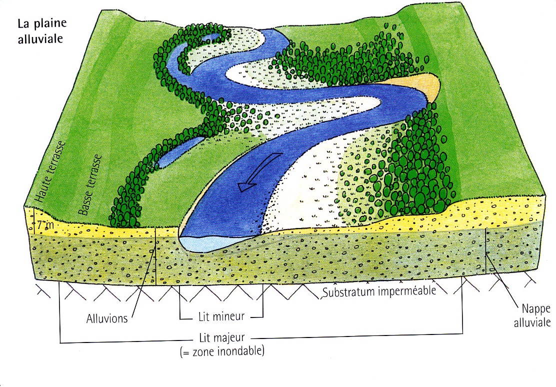 Dessin plaine alluviale
